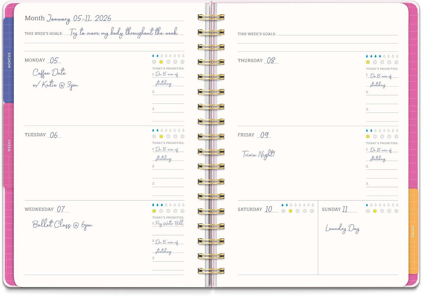 Orange Circle Studio Undated Tri-Tab Academic Planner 2026, Faire Flowers, Daily Notebook Journal, Cute Weekly and Monthly Calendar with Pocket, Stickers, Lined Pages for To Do lists and Planning