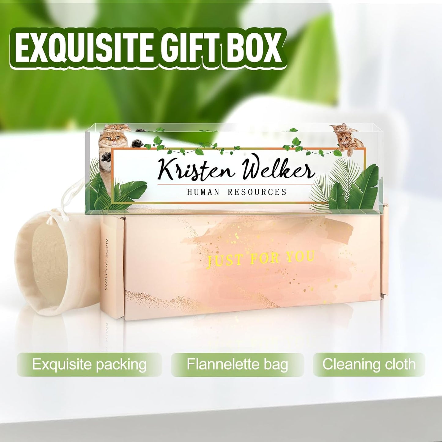 Gowellly Office Desk Name Plate Personalized - Custom Acrylic Name Plates for Desk - Employee Appreciation Gifts - Office Gifts for Teacher,Boss,Nurse,Lawyer,Women Office (Pet-cat-1)