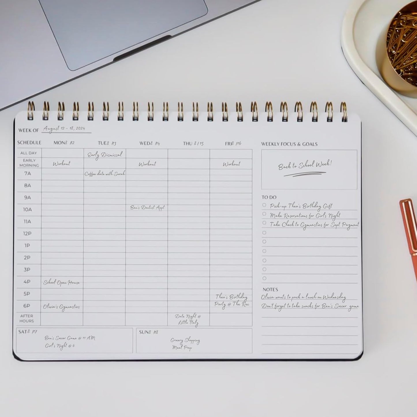 Undated Weekly Schedule | Business Planner | 8.25” x 11.75” ADHD Organizer | Premium Multi-Layout Schedule | Pink | Landscape Layout