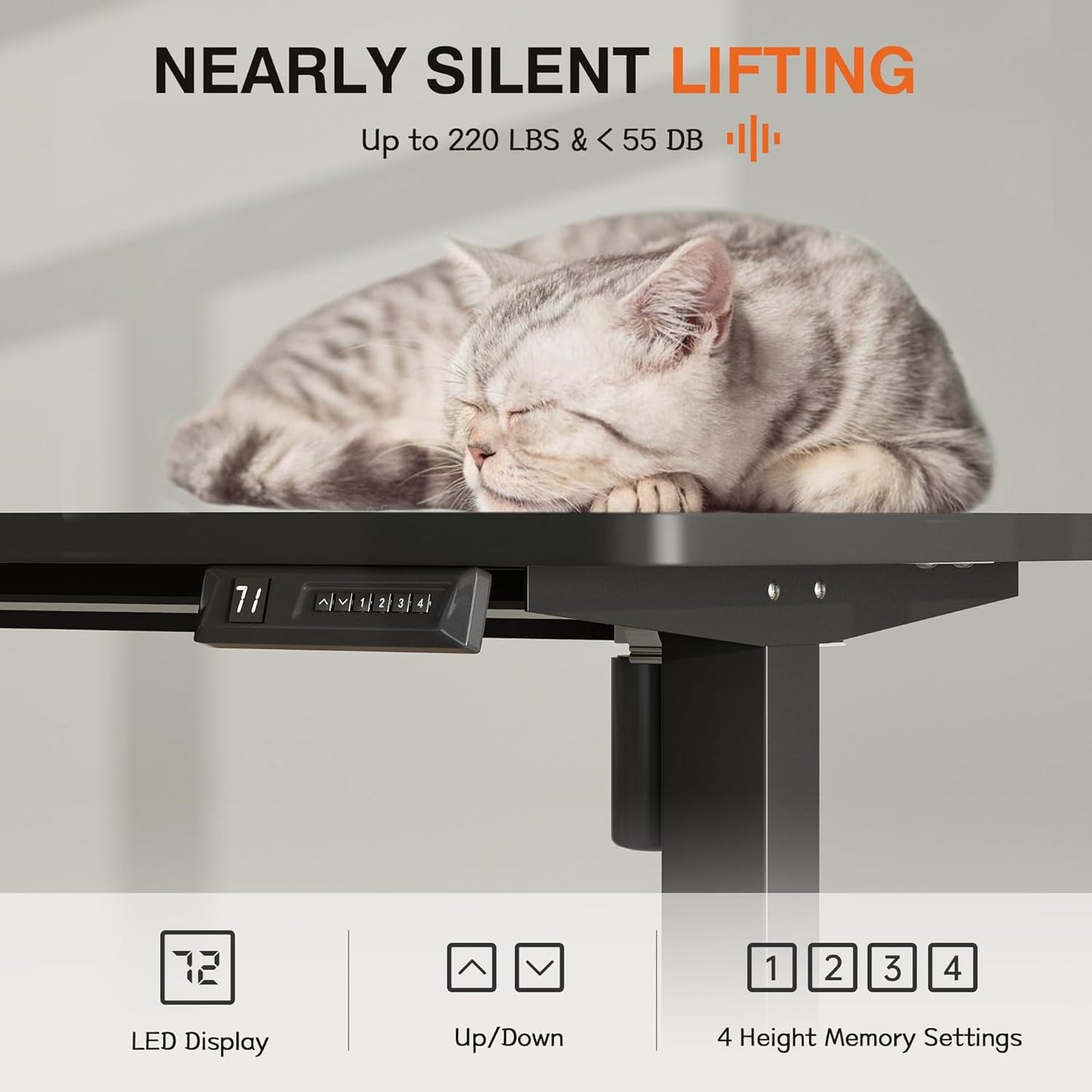 Furmax Electric Standing Desk, 55 x 24 Inches Height Adjustable Desk with Removable Casters, Home Office Computer Desk (Carbon Black)