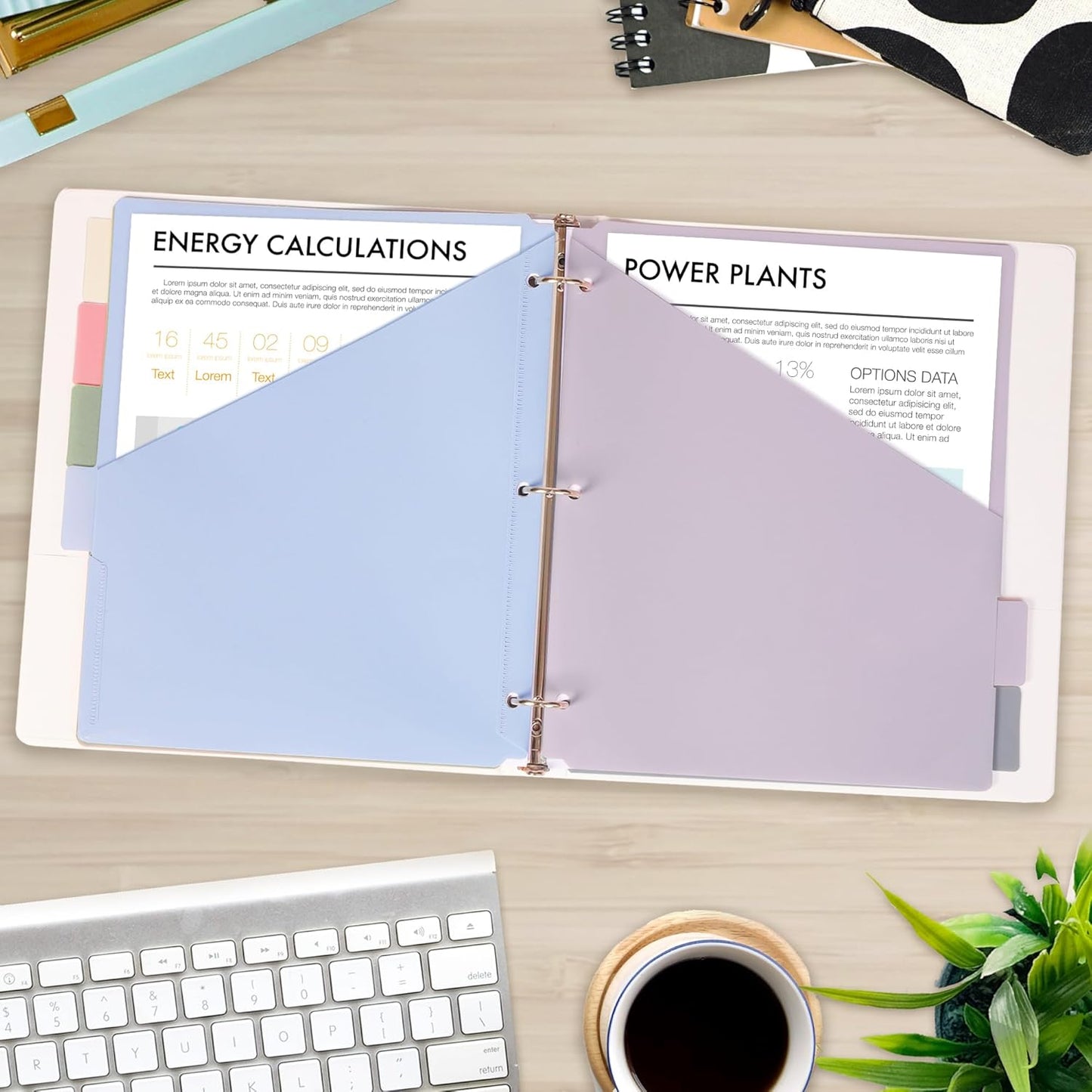 H4D 6-Tab Dividers for 3 Ring Binder, Plastic Dividers with Two Pockets, Letter Size, Morandi Colors, 4 Set