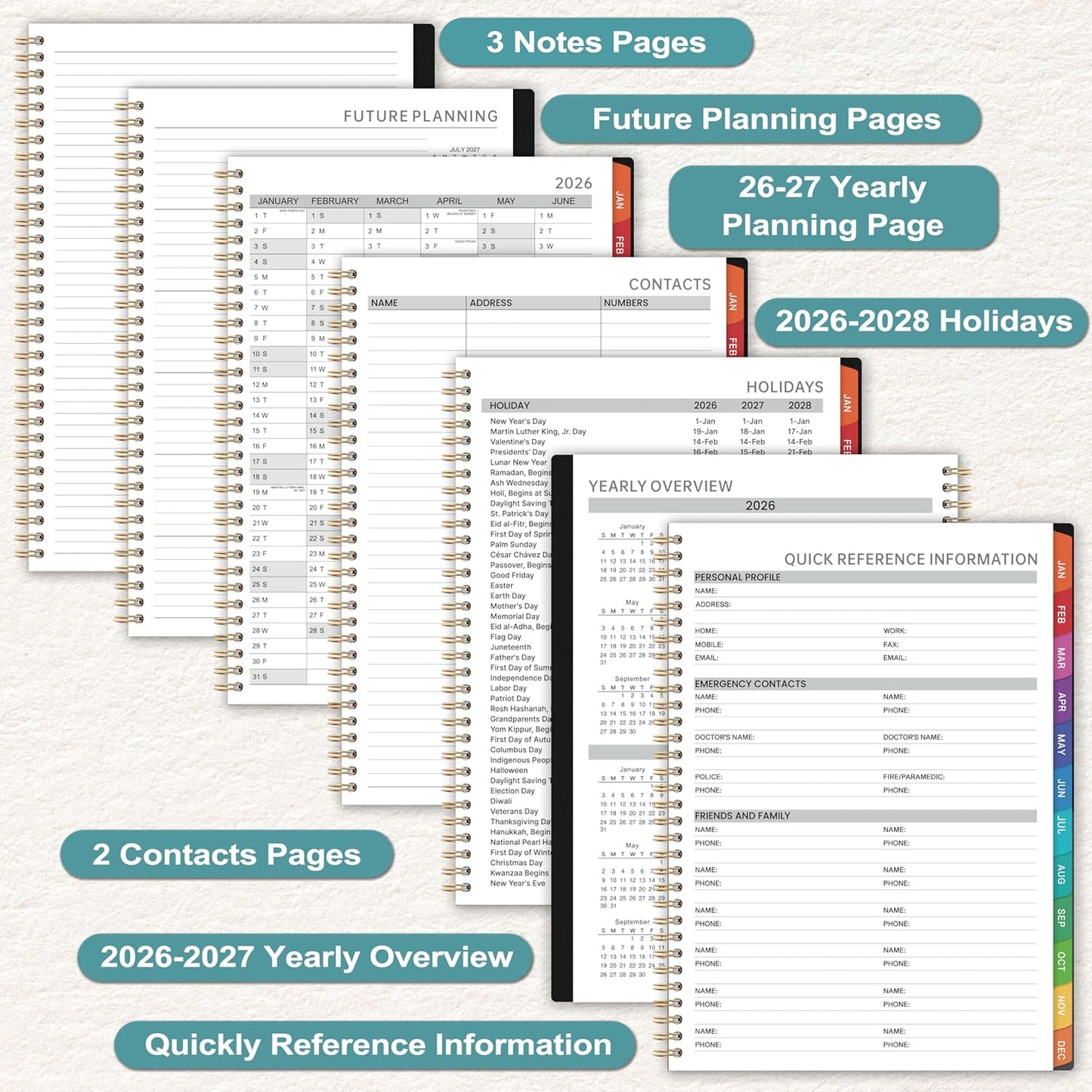 2026 Appointment Book - 2026 Planner, January 2026 - December 2026, 9" x 11", 2026 Daily Hourly Planner, Half Hour (30 Mins) Interval, Colorful Monthly Tabs, Lay-Flat, Inner Pocket