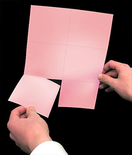 Laser Printer Blank Perforated Cards 6 up per Page (Pink, 6000 Cards)