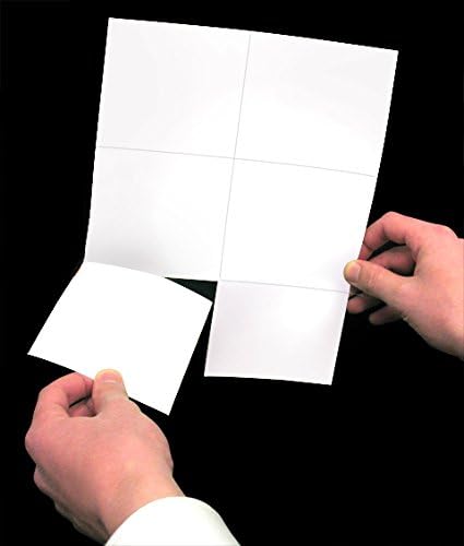 Laser Printer Blank Perforated Cards - 6 up per Page, for School, Wedding & Inventory Tags (6000 White Cards)