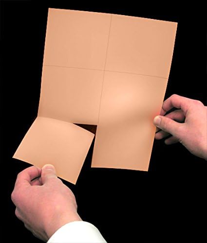 Laser Printer Blank Perforated Cards 6 up per Page (Buff, 6000 Cards)