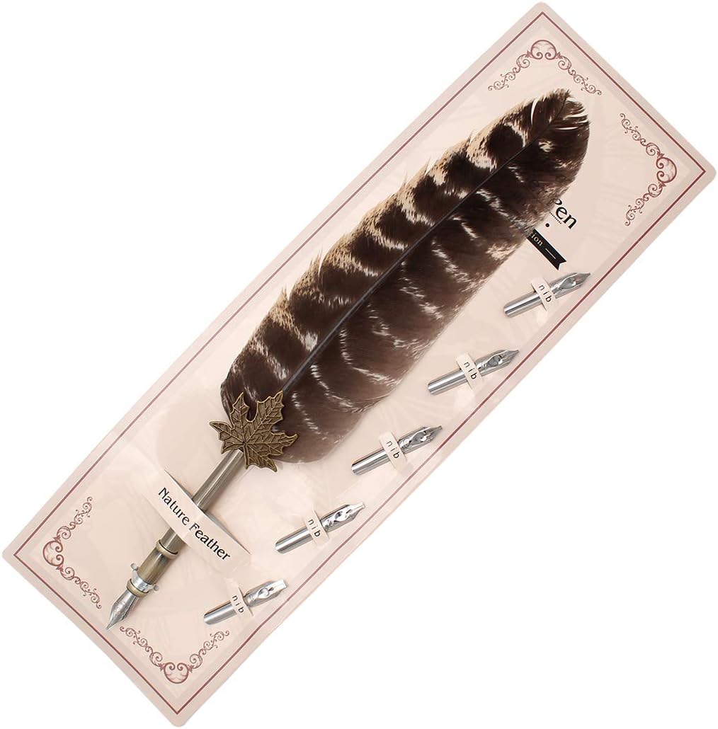Gullor Quill Handcraft Feather Dip Pen Stem Metal Nib Pen Writing Quill with 5 Extra Nibs, Style E