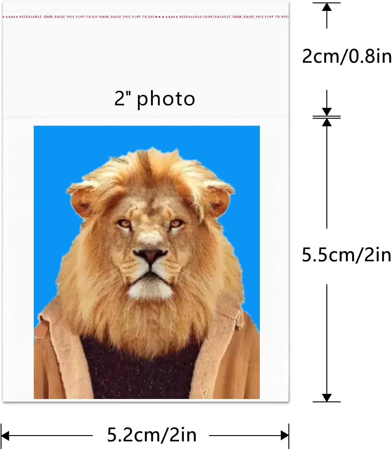 2" x 2" Cellophane Self Seal Bags - 500pcs Small Clear Plastic Cello Bags for Jewelry, Earrings, Candies, Bakery, Cookies & Gifts (9 Sizes)