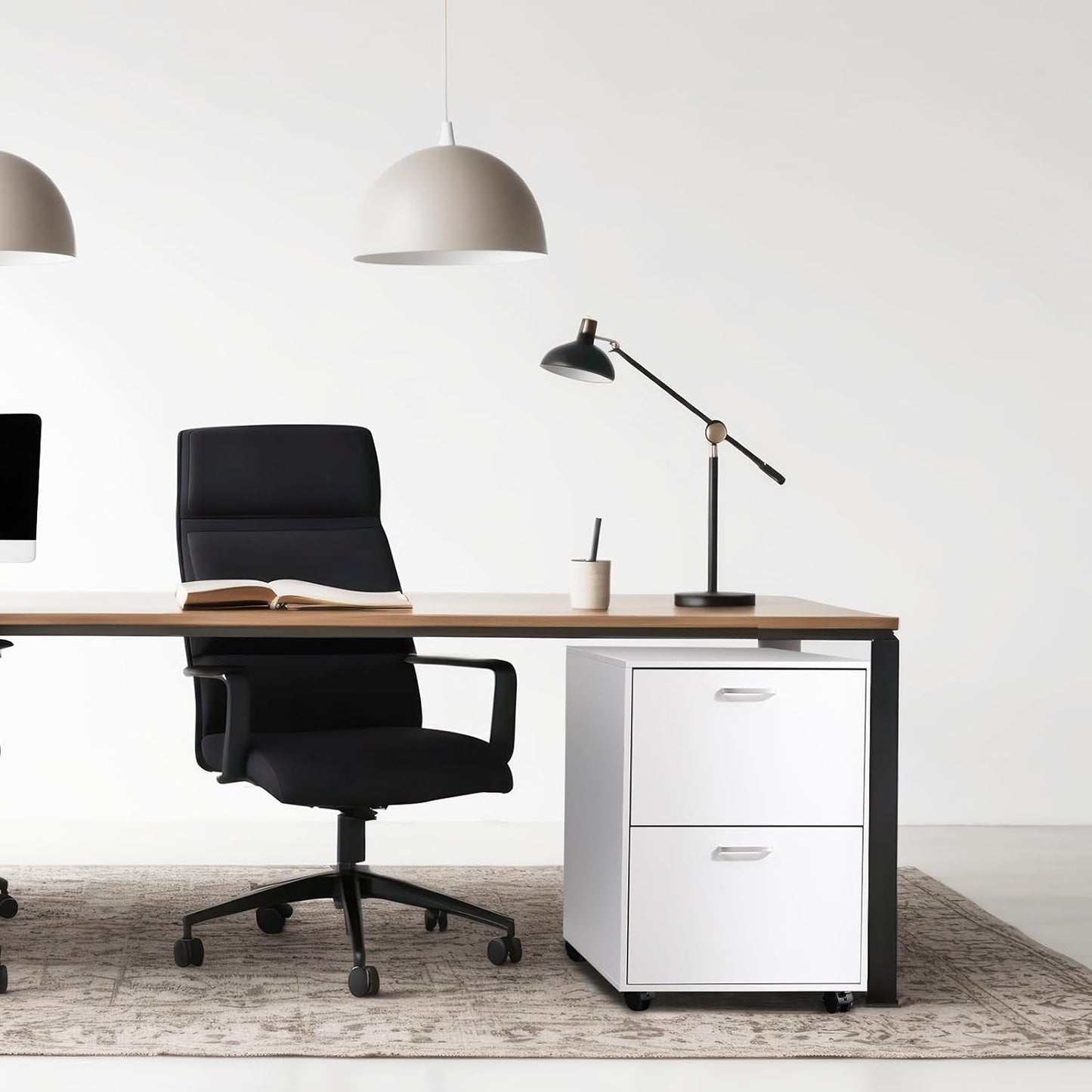 QDSSDECO 2 Drawer Mobile File Cabinet, Rolling Vertical Filing Cabinet fits A4, Legal Paper and Letter Paper for Home Office, White