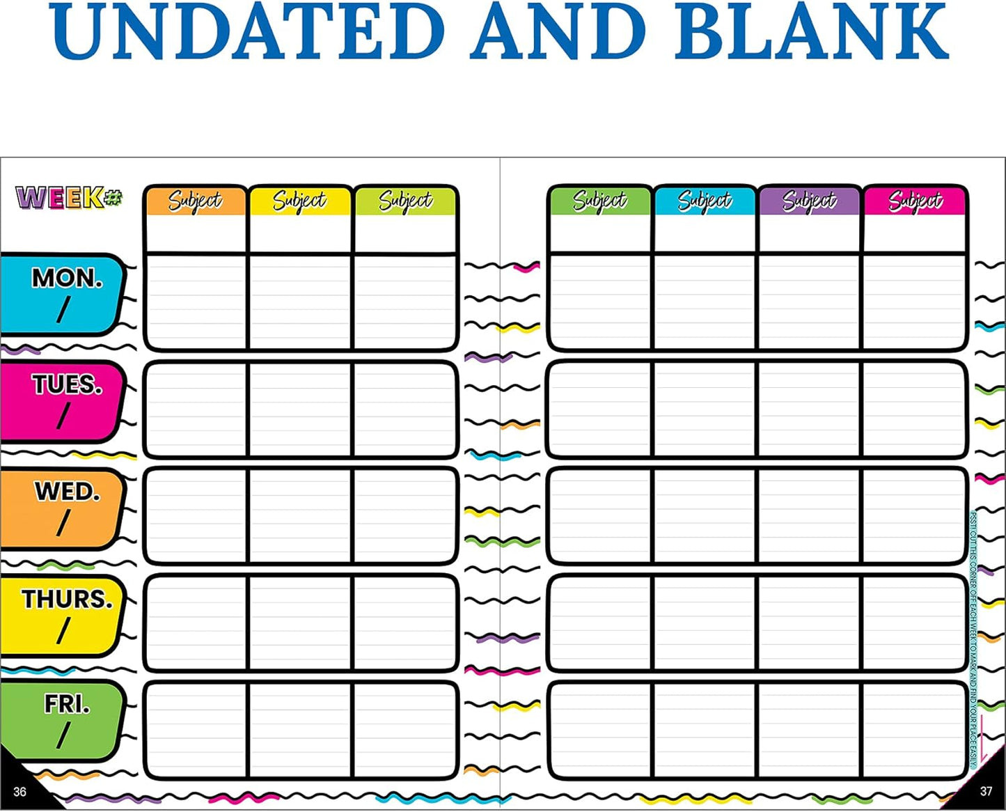 Carson Dellosa Kind Vibes Teacher Planner—Undated Weekly/Monthly Lesson Plan Book and Record Organizer for Classroom or Homeschool (8 inches x 11 inches)