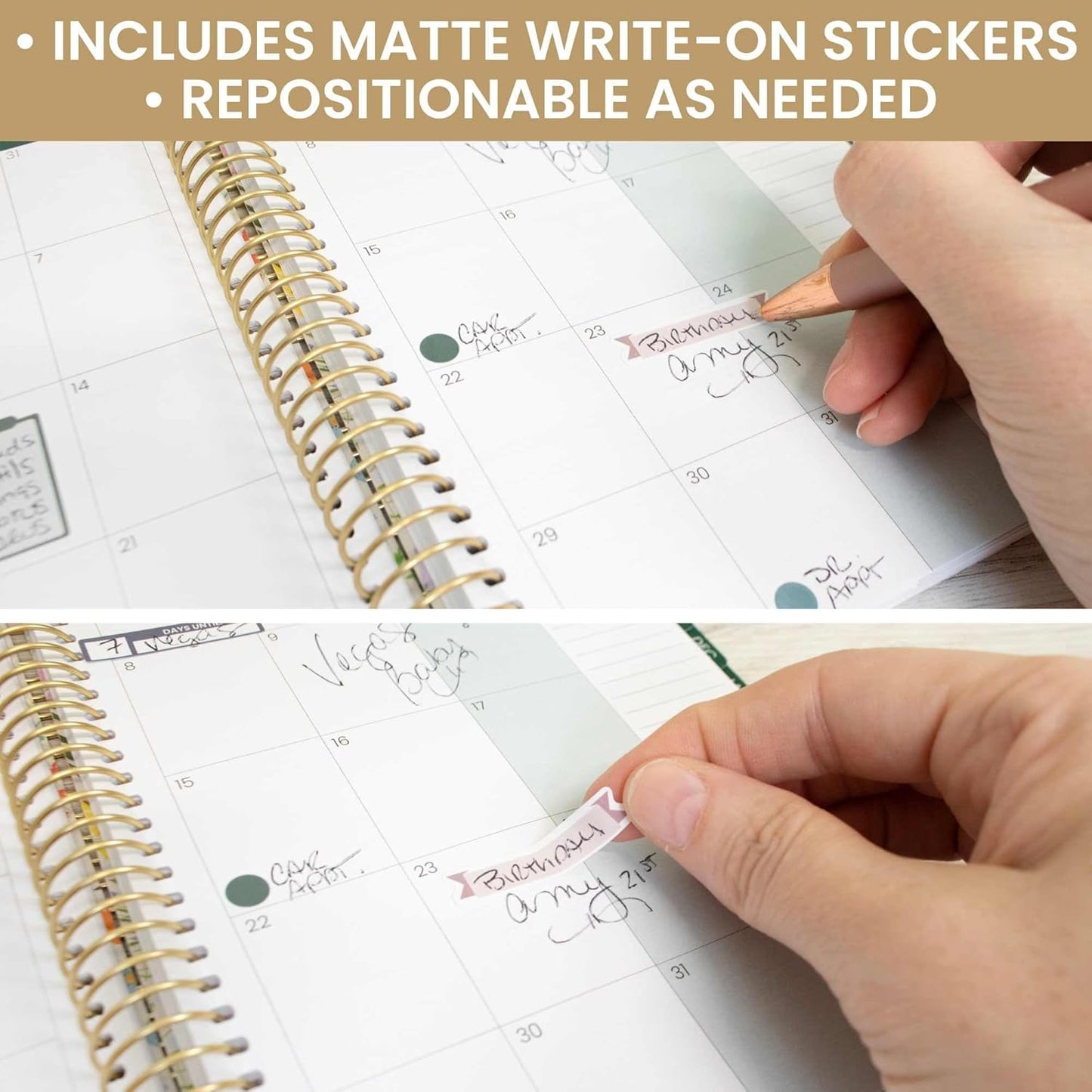 bloom daily planners Color Coding Planner Stickers - 1/4" Minimalist Dot Labels - Six Sheets, 1000+ Stickers Per Pack! - Jewel Tones