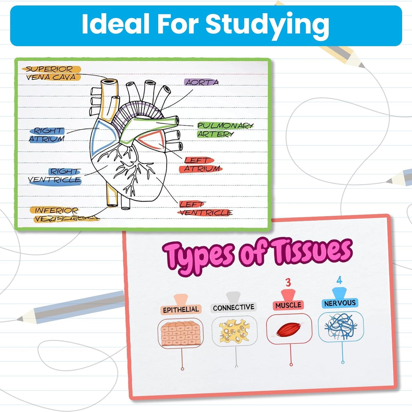 Oxford 3"x5" Index Cards Bundle - White, Unruled Blank Cards for Creative Uses & Lined Cards for Neat Notes, Study Flashcards, Recipes, To-Do Lists & Organizing, 1000 Count (5 Packs of 100 Each)