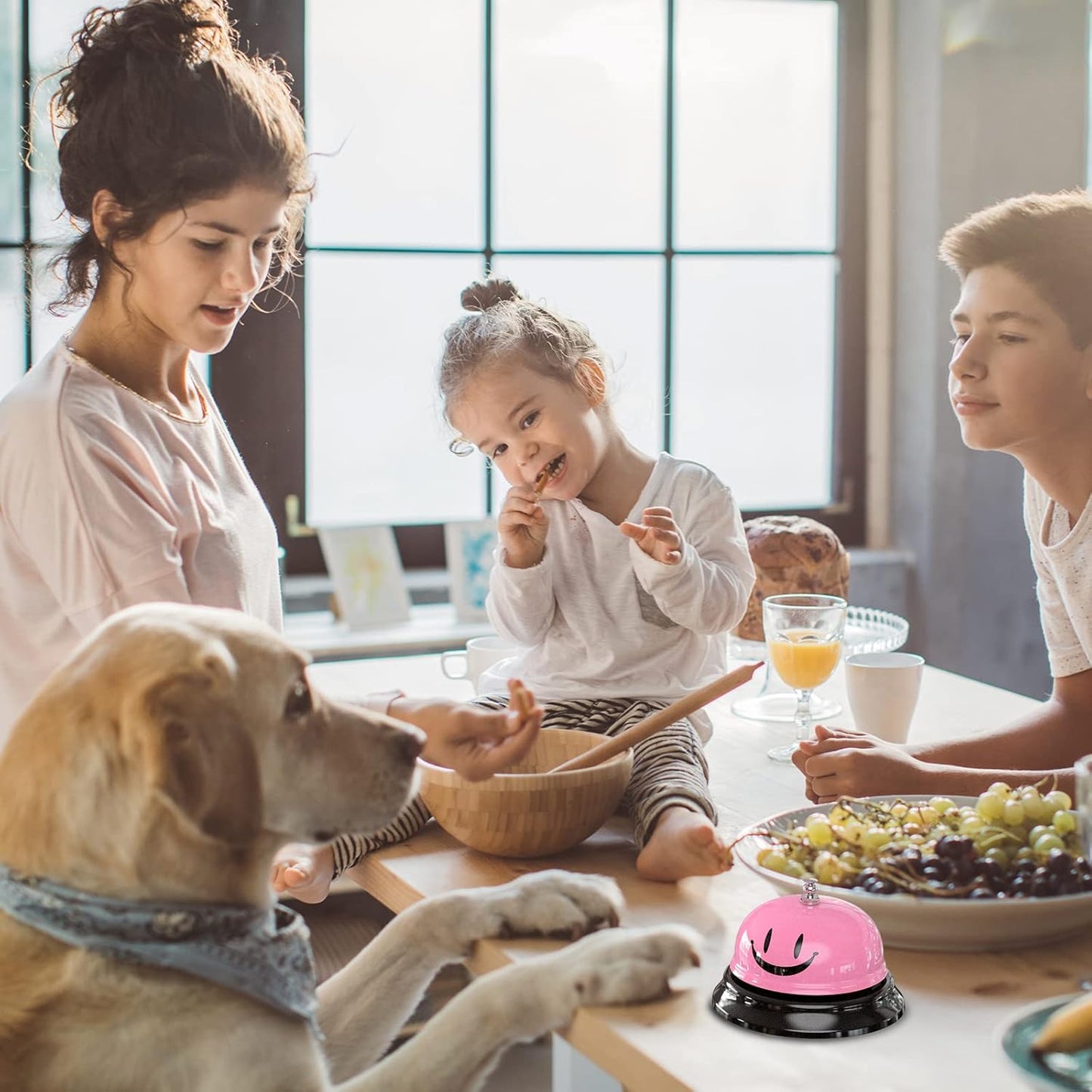 Call Bell, Service Bell Dinner Desk Bell for The Porter Kitchen Restaurant Bar Hotel Schools