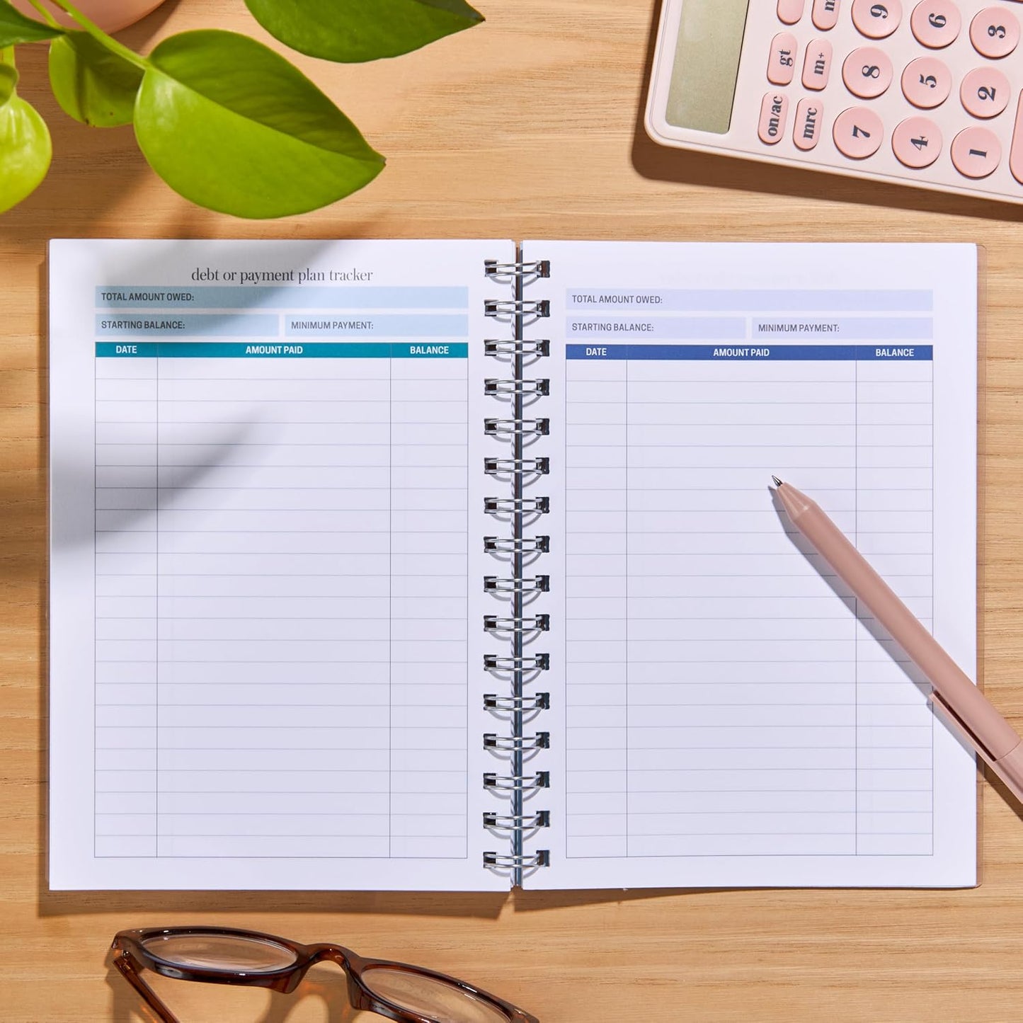 Erin Condren Inspired by Erin Condren Budget Planner, 12-Month Undated Spiral Financial Planner, Compact A5 Monthly & Weekly Budget Tracker with Layers Cover