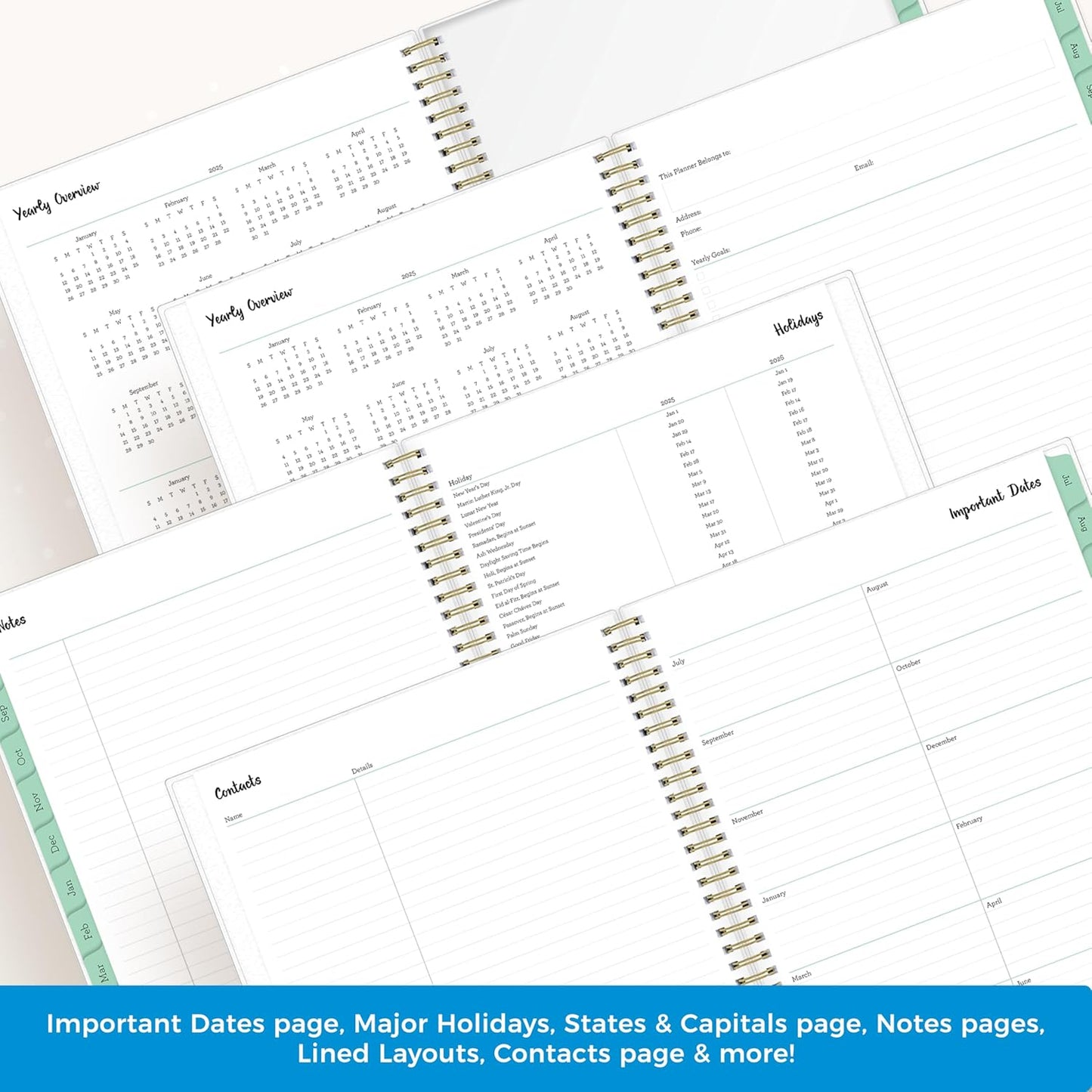 Blue Sky 2025-2026 Weekly and Monthly Academic Year Planner Calendar, July 2025 - June 2026, 8.5" x 11", Flexible Cover, Wirebound, Laminated Tabs, Storage Pocket, Laurel