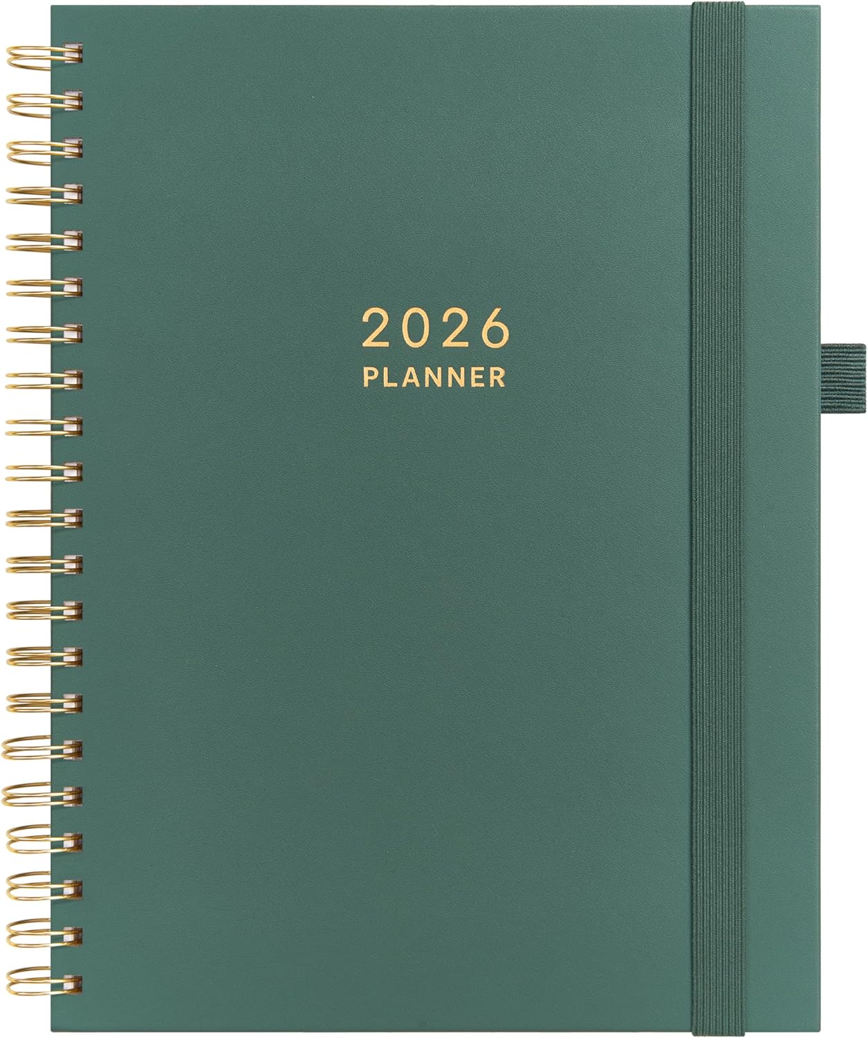 And Per Se 2026 Planner, A4 Size-Daily, Weekly & 18-Monthly Leather Hardcover Planner, Daily Schedule, Monthly Tabs, 100 GSM Thick Paper(Green)