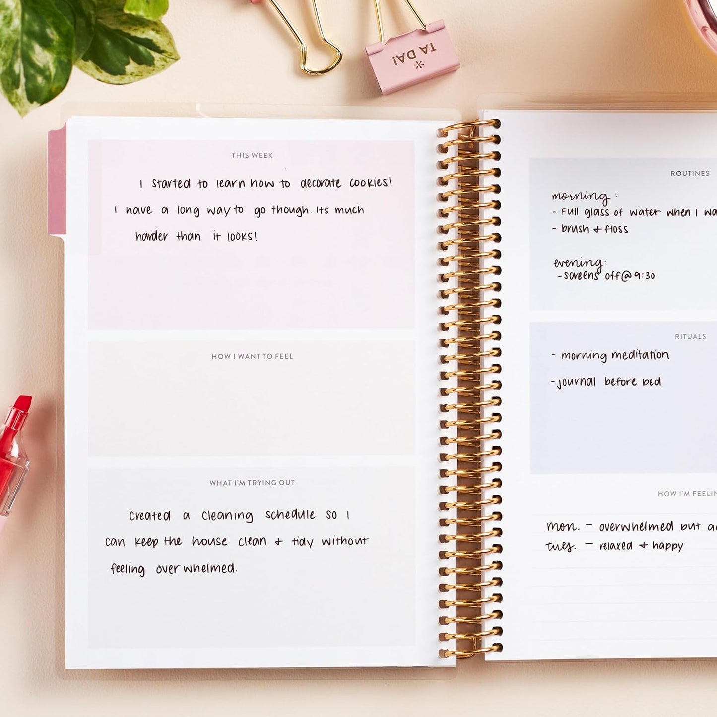 Erin Condren A5 Spiral Daily Routines & Rituals Journal | 3 Months Of Daily Intentions. Weekly And Monthly Check-In Pages, Lined Notes Sections.