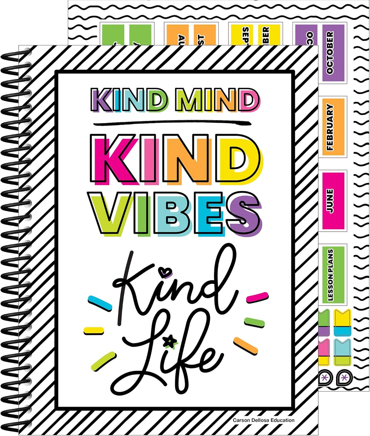 Carson Dellosa Kind Vibes Teacher Planner—Undated Weekly/Monthly Lesson Plan Book and Record Organizer for Classroom or Homeschool (8 inches x 11 inches)
