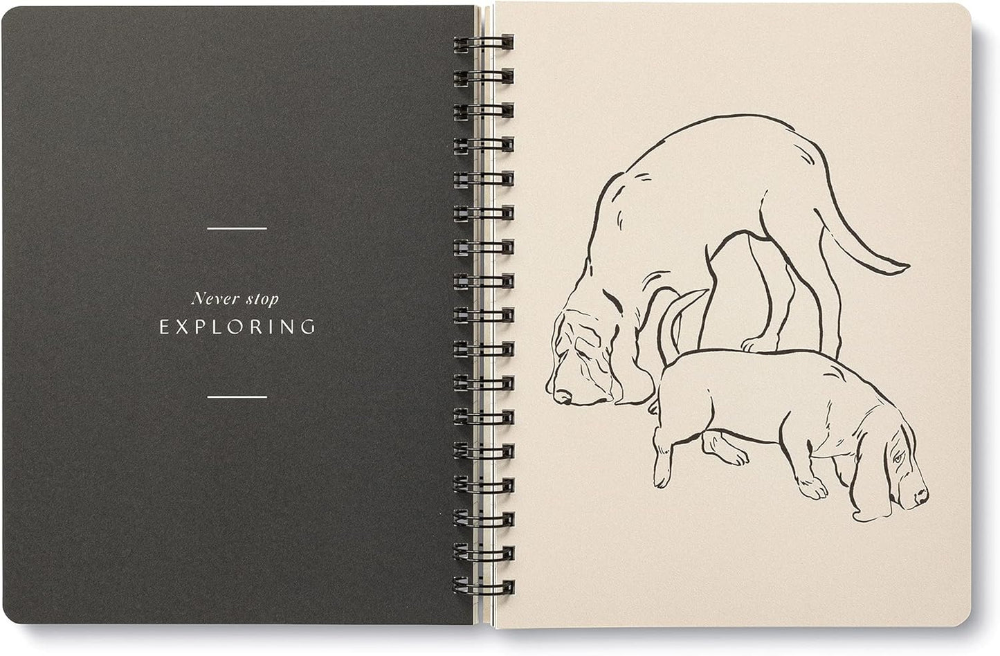 Compendium Spiral Notebook - Play All Day — A Designer Spiral Notebook with 192 Lined Pages, College Ruled, 7.5”W x 9.25”H