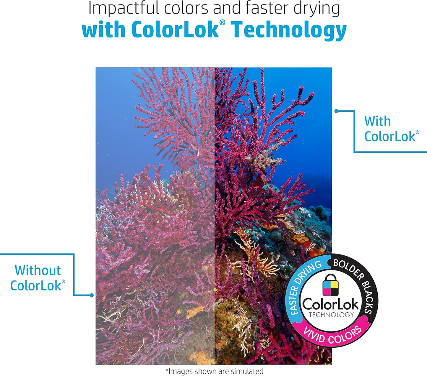 HP Papers | 8.5 x 11 Paper | BrightWhite 24 lb |1 Ream - 500 Sheets| 100 Bright | Made in USA - FSC Certified | 203000R