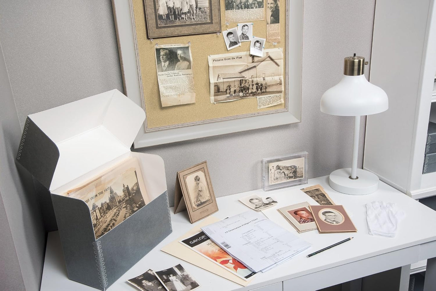 Gaylord Archival Polyester 8 x 11" Photo & Document Envelopes (10-Pack)