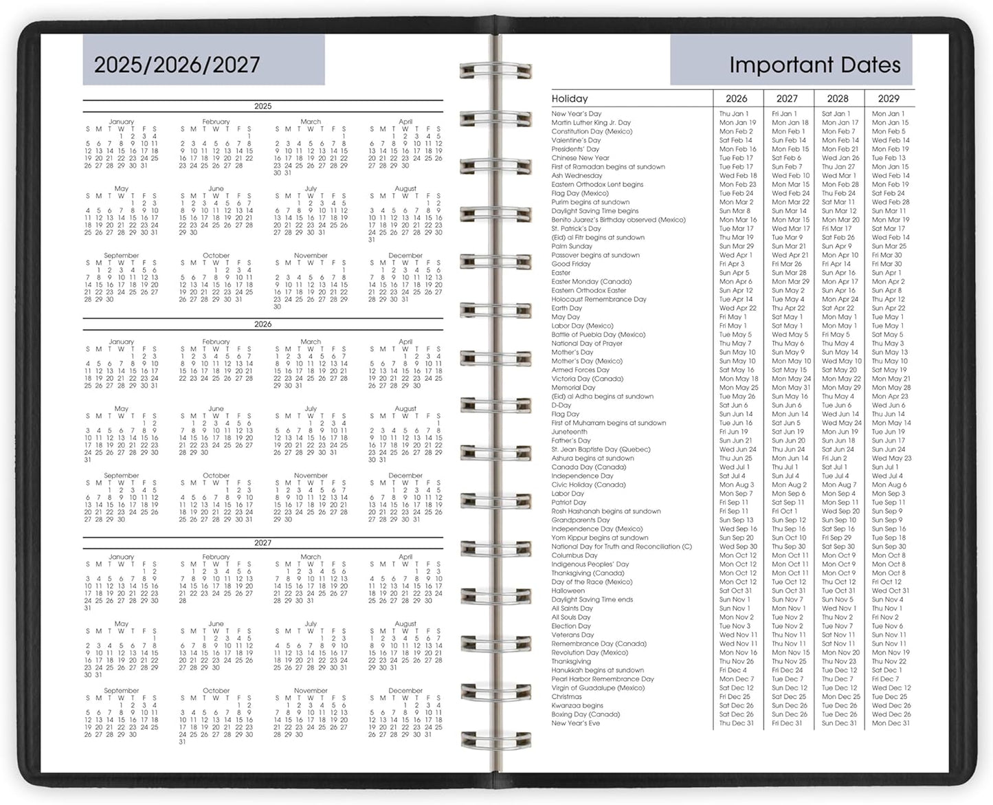 AT-A-GLANCE 2026 Appointment Book Planner, Daily, 5" x 8", Small, Quarter-Hourly, DayMinder, Black (G1000026)